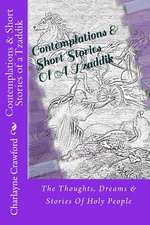 Contemplations & Short Stories of a Tzaddik