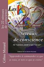 Les 22 Niveaux de Conscience