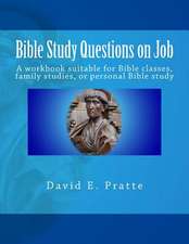 Bible Study Questions on Job