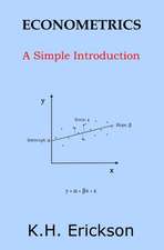 Econometrics: A Simple Introduction