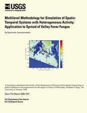 Multilevel Methodology for Simulation of Spatio-Temporal Systems with Heterogenous Activity