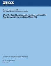 Water-Level Conditions in Selected Confined Aquifers of the New Jersey and Delaware Coastal Plain, 2003