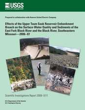 Effects of the Upper Taum Sauk Reservoir Embankment Breach on the Surface- Water Quality and Sediments of the East Fork Black River and the Black Rive