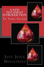 A New Testament Introduction to Your Savior