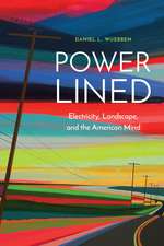 Power-Lined: Electricity, Landscape, and the American Mind