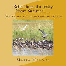 Reflections of a Jersey Shore Summer......