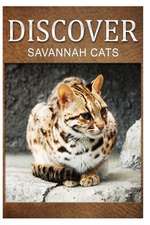 Savannah Cats - Discover