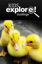 Ducklings - Kids Explore