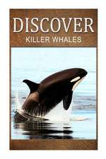 Killer Whales - Discover