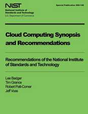 Cloud Computing Synopsis and Recommendations