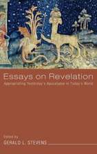 Essays on Revelation