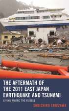 Aftermath of the 2011 East Japan Earthquake and Tsunami