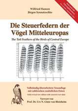 Die Steuerfedern Der Vogel Mitteleuropas