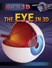 The Eye in 3D