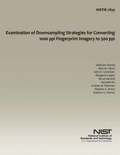 Examination of Downsampling Strategies for Converting 1000 Ppi Fingerprint Imagery to 500 Ppi