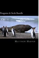 Penguins & Seals Bundle
