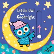 Little Owl Says Goodnight: A Slide-And-Seek Book