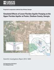 Simulated Effects of Lower Floridan Aquifer Pumping on the Upper Floridan Aquifer at Pooler, Chatham County, Georgia