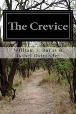 The Crevice