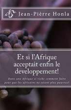 Et Si L'Afrique Acceptait Enfin Le Developpement!