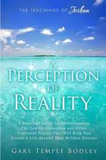 A Perception of Reality