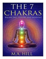 The 7 Chakras