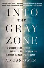 Into the Gray Zone