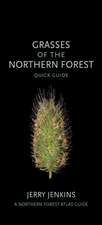 Grasses of the Northern Forest – Quick Guide