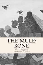 The Mule-Bone