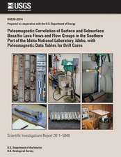 Paleomagnetic Correlation of Surface and Subsurface Basaltic Lava Flows and Flow Groups in the Southern Part of the Idaho National Laboratory, Idaho,