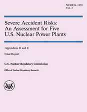 Severe Accident Risks