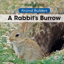 A Rabbit's Burrow