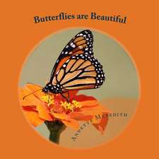 Butterflies Are Beautiful