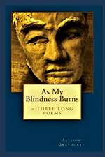 As My Blindness Burns - Three Long Poems