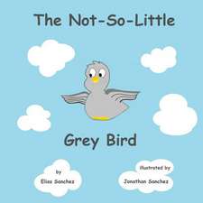 The Not-So-Little Grey Bird