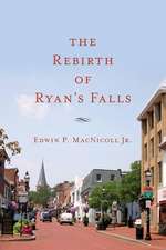 The Rebirth of Ryan's Falls