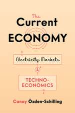 The Current Economy – Electricity Markets and Techno–Economics