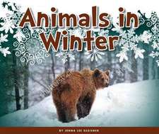 Animals in Winter