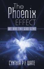 The Phoenix Effect