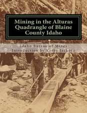 Mining in the Alturas Quadrangle of Blaine County Idaho