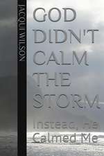 God Didn't Calm the Storm