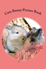 Cute Bunny Picture Book