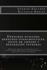 Derechos Humanos, Derechos Fundamentales, Juicio de Amparo y Reparacion Integral