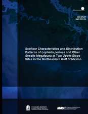 Seafloor Characteristics and Distribution Patterns of Lophelia Pertusa and Other Sessile Megafauna at Two Upper-Slope Sites in the Northeastern Gulf o