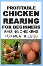 Profitable Chicken Rearing for Beginners