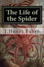 The Life of the Spider