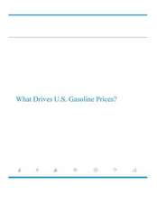 What Drives U.S. Gasoline Prices