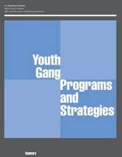 Youth Gang Programs and Strategies