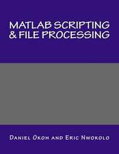 MATLAB Scripting & File Processing