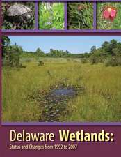 Deleware Wetlands